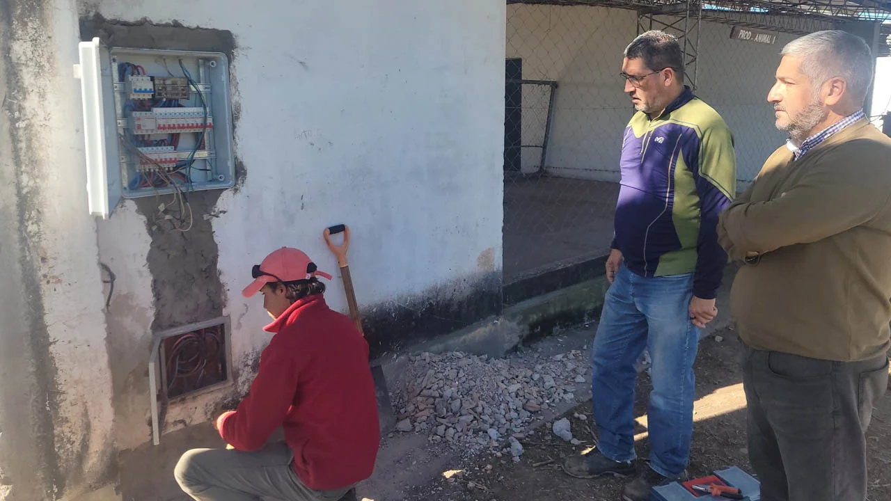 Sin título-1