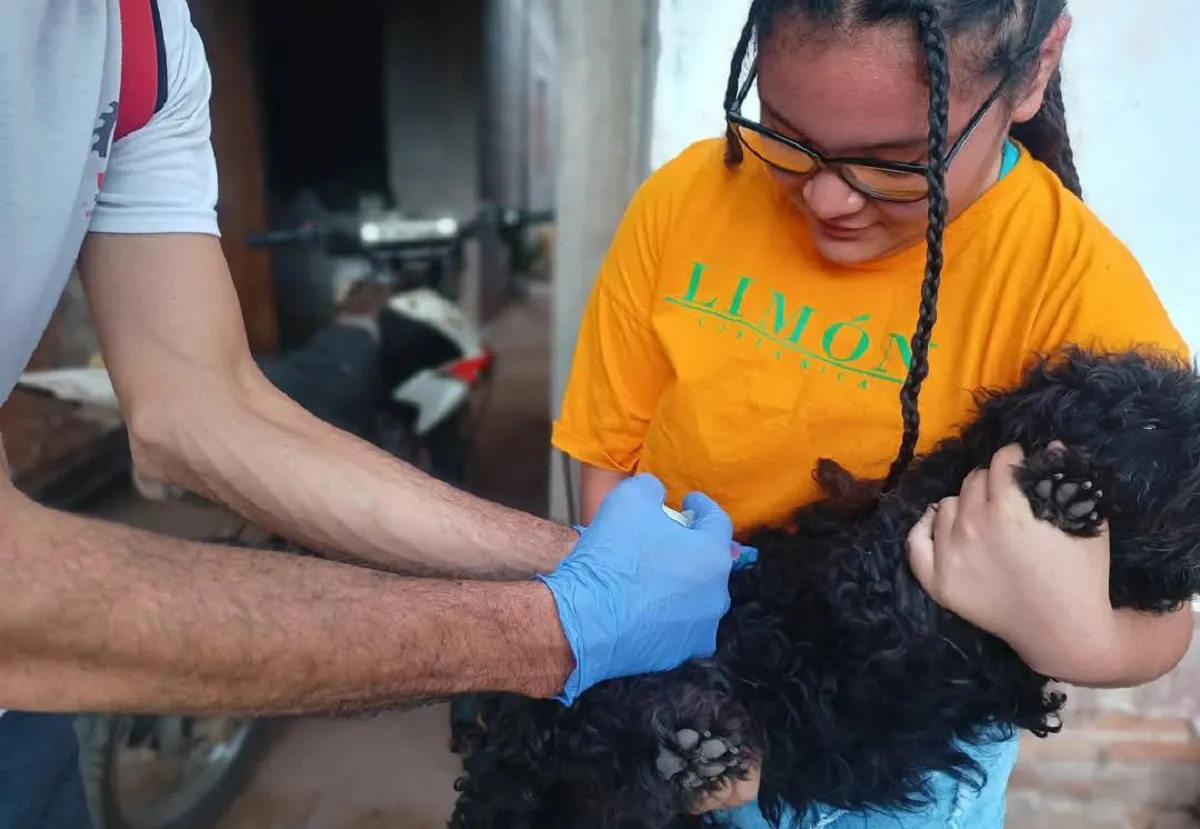 multimedia.normal.a063320b72c84d1a.bm9ybWFsLndlYnA=