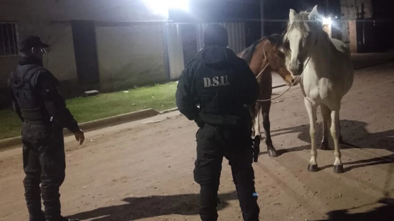 Sin título-1