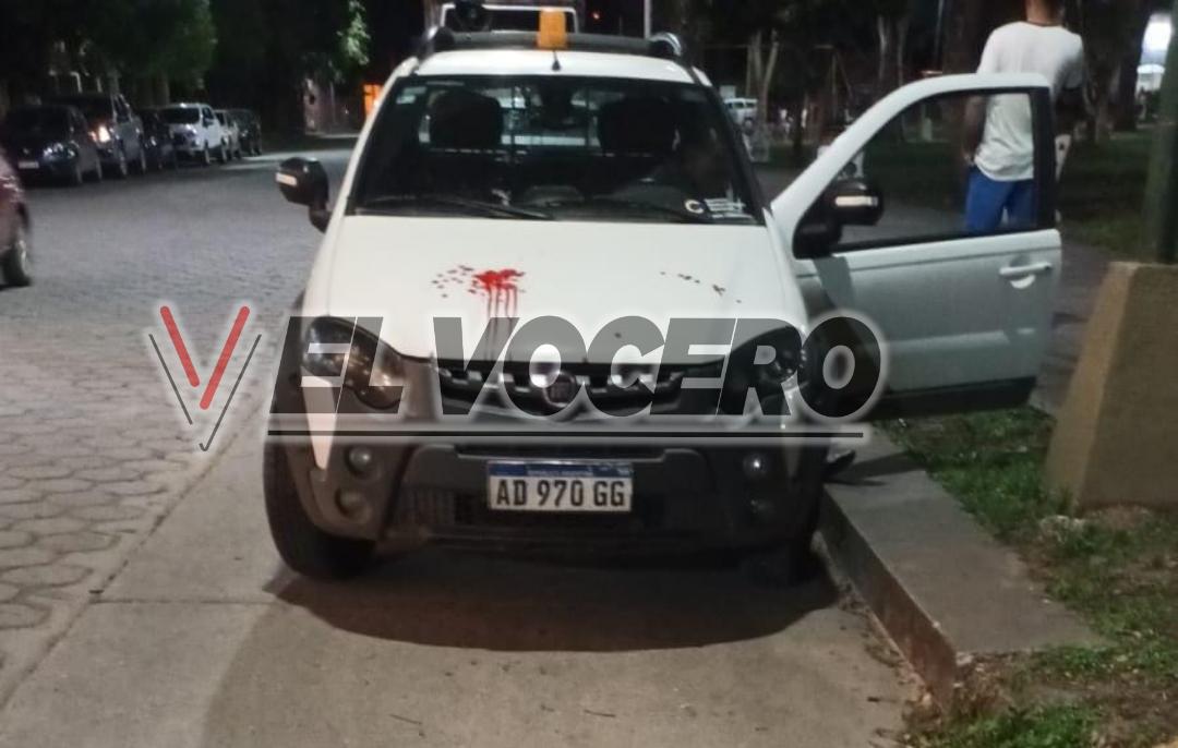 Polish_20231105_214151759