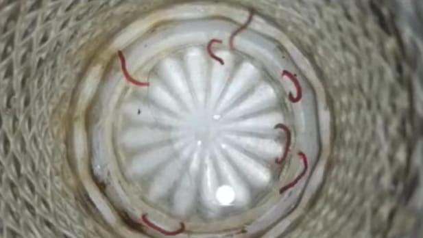 1aee583b-1cb7-4ecf-9c65-43da8a7cee16