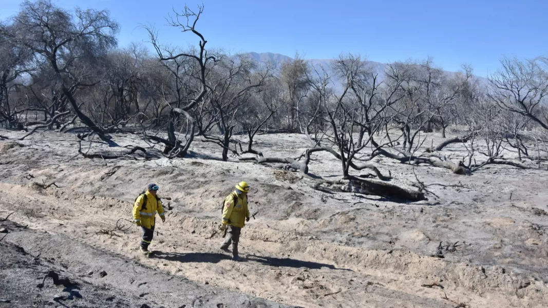 20998-los-equipos-de-combate-contra-incendios-forestales-continuan-trabajando-en-cafayate
