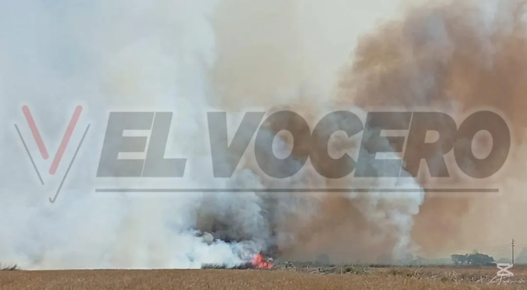 a238dc5f-7354-48bc-9826-bfe5329b8e62