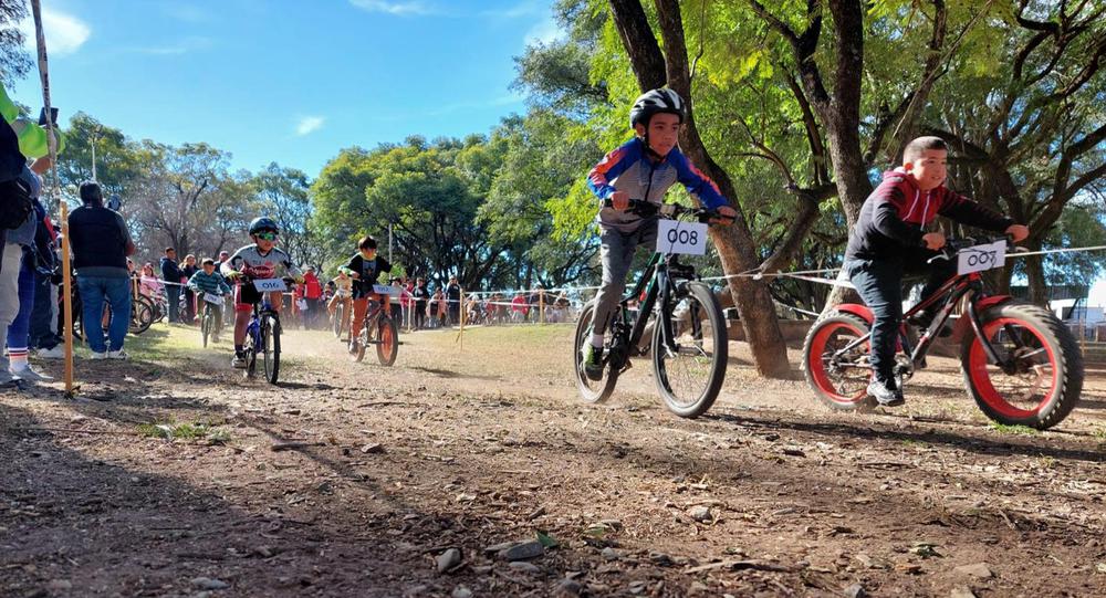 31c66fa7-6bb2-4d6f-b151-4465e5a86196