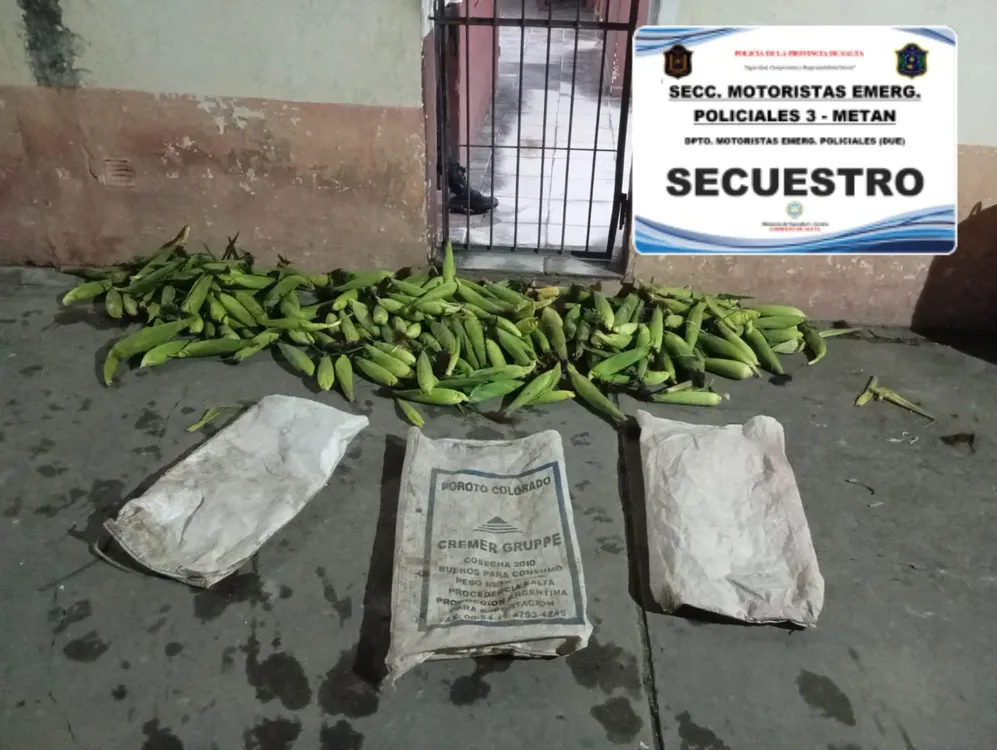 WhatsApp-Image-2026-03-28-at-06.40.10-1