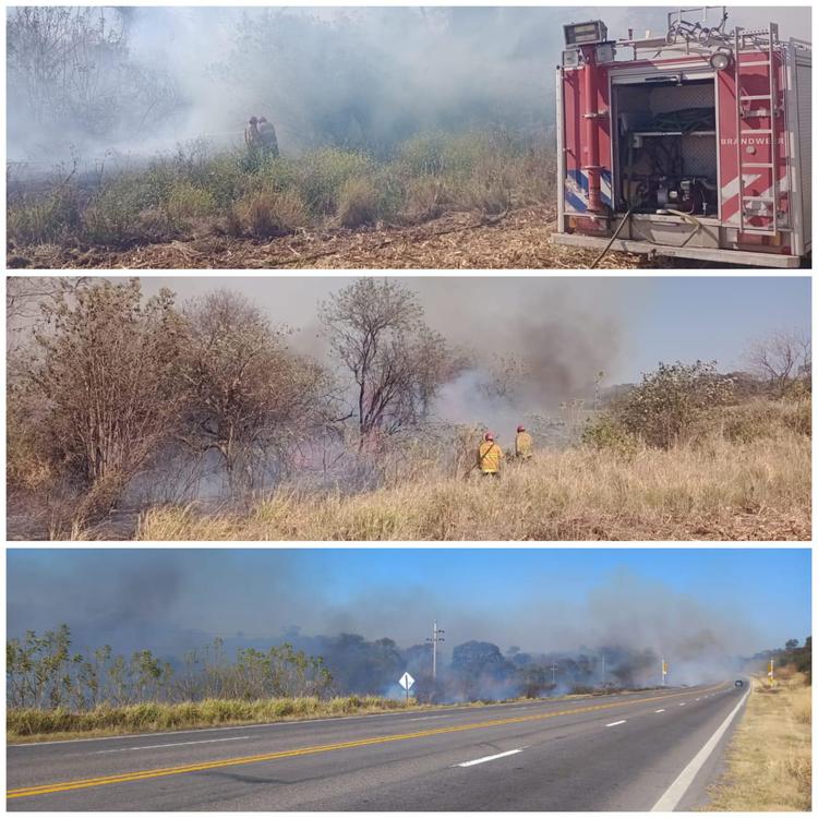 WhatsApp Image 2024-08-13 at 6.13.33 PM