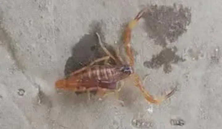 22309346-a4ab-4d97-a795-85f75f70eca7