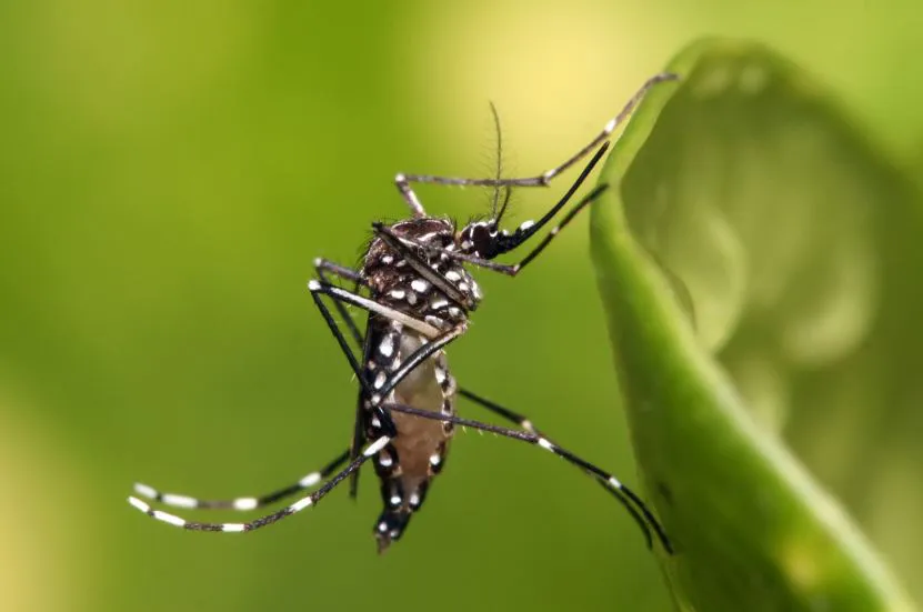 multimedia.normal.a78b7dcaaf91a2fd.NSBERU5HVUVfbm9ybWFsLndlYnA=