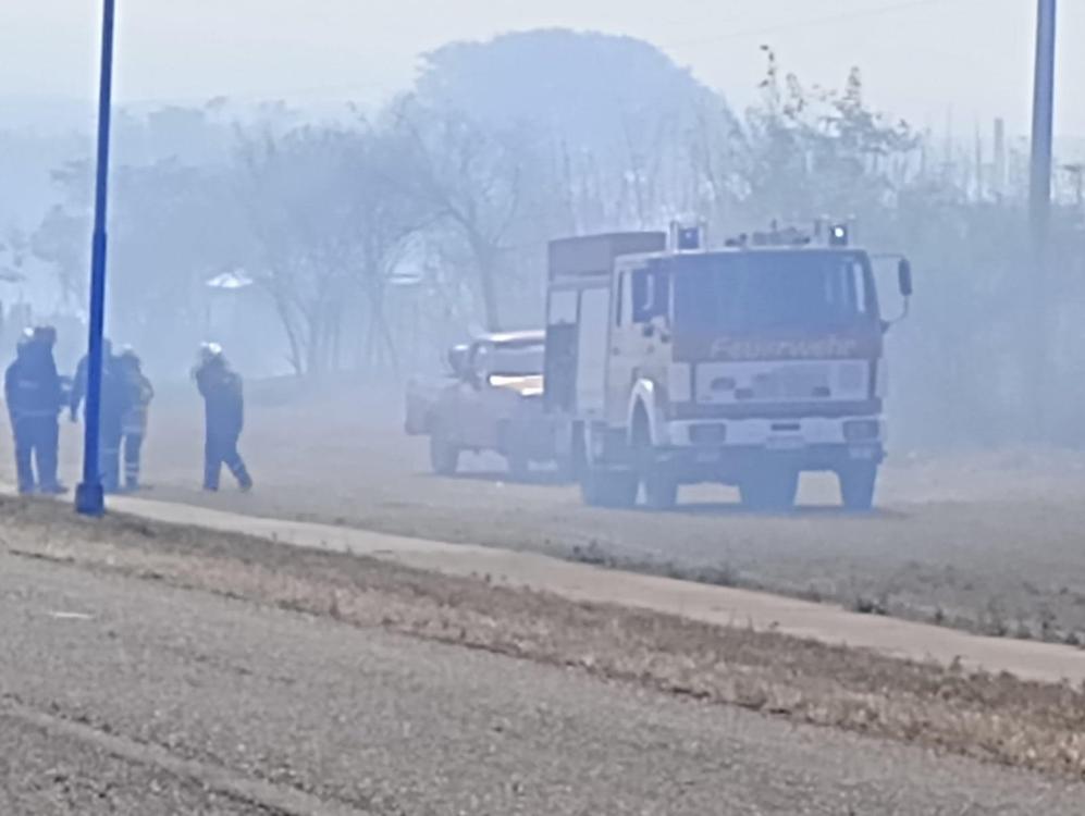 WhatsApp Image 2024-08-14 at 8.00.30 AM