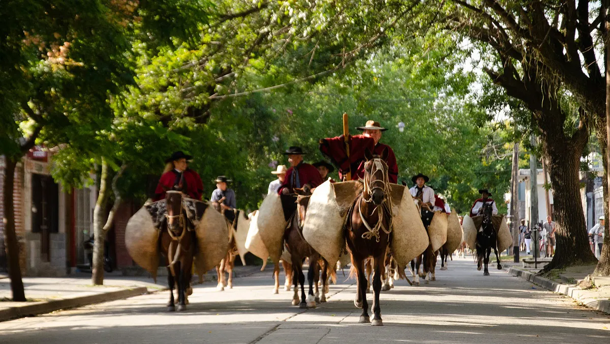 multimedia.normal.bb125330b15cf851.VsOtYSBDcnVjaXMgR2F1Y2hvX25vcm1hbC53ZWJw