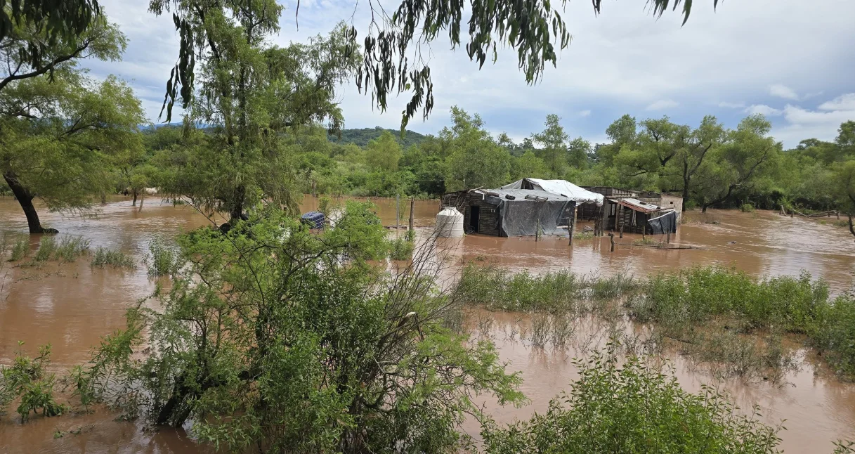 Captura de pantalla 2026-02-23 204245