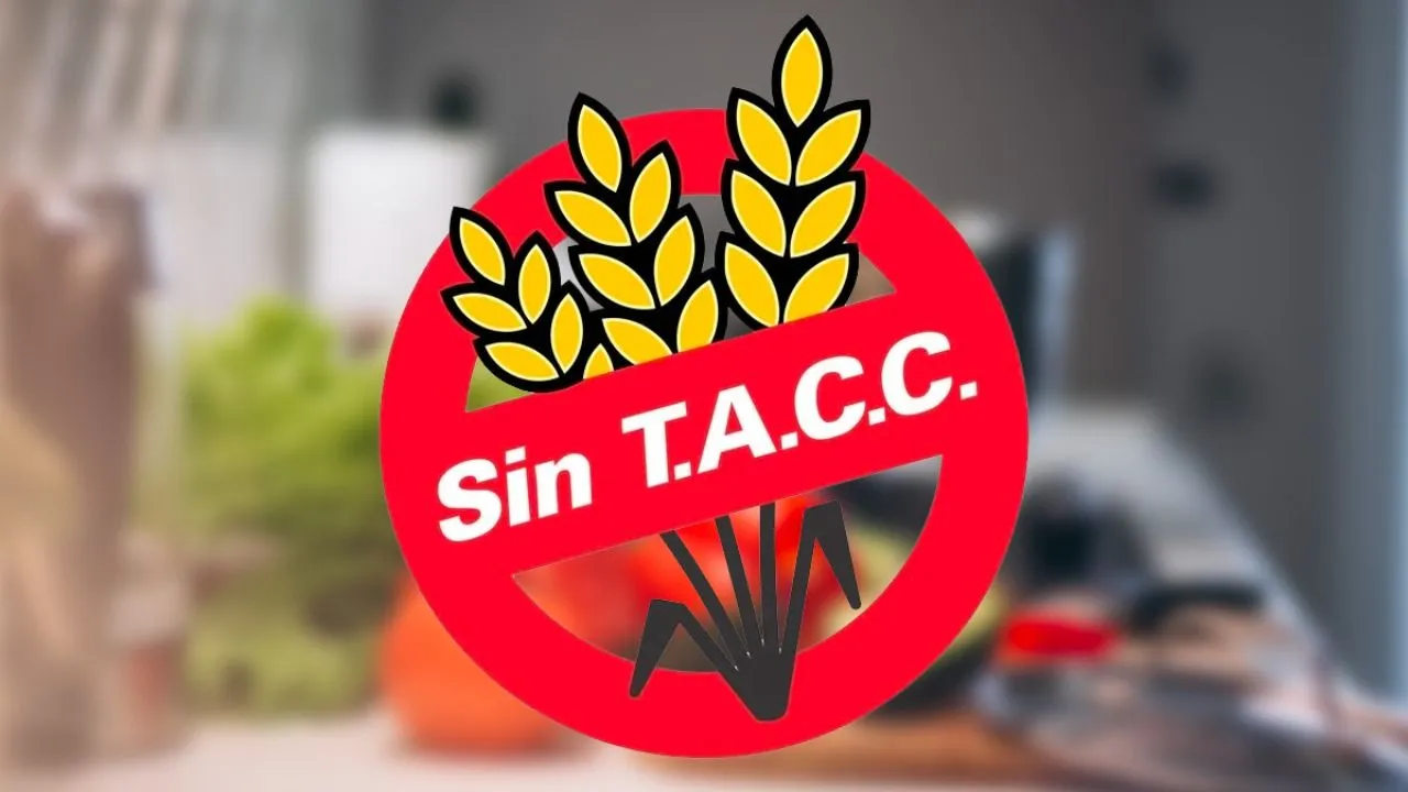 multimedia.normal.aa2562d5cec6b31c.MTY4MjUxNTQyMjYzOF9ub3JtYWwud2VicA==