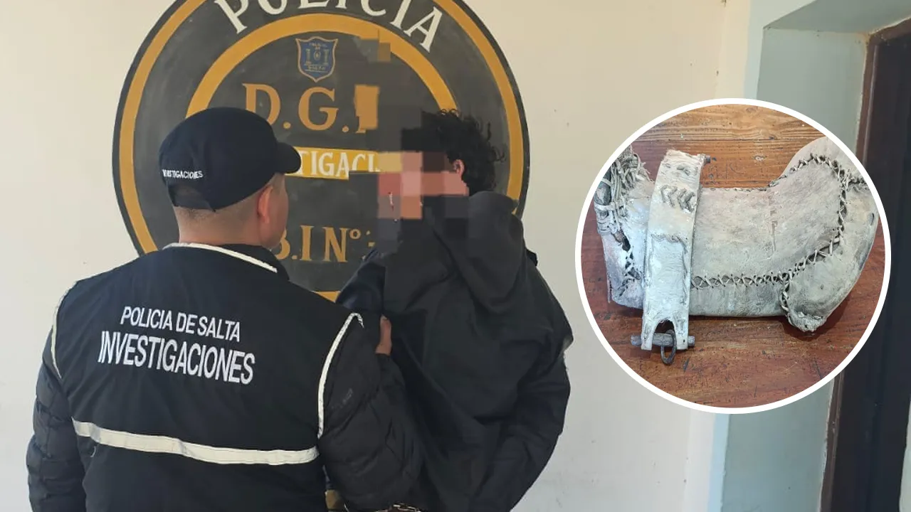 Sin título-1