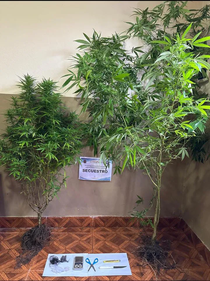 WhatsApp-Image-2025-02-21-at-11.31.25-AM