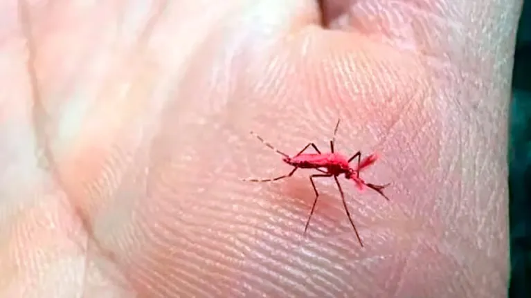 multimedia.normal.8c0c56913d9d2292.aW1hZ2UgKDQpX25vcm1hbC53ZWJw