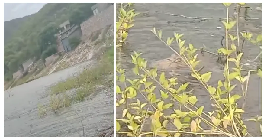 multimedia.normal.9dfcb6114ffdb628.eWFjYXLDqSBkaXF1ZV9ub3JtYWwud2VicA==