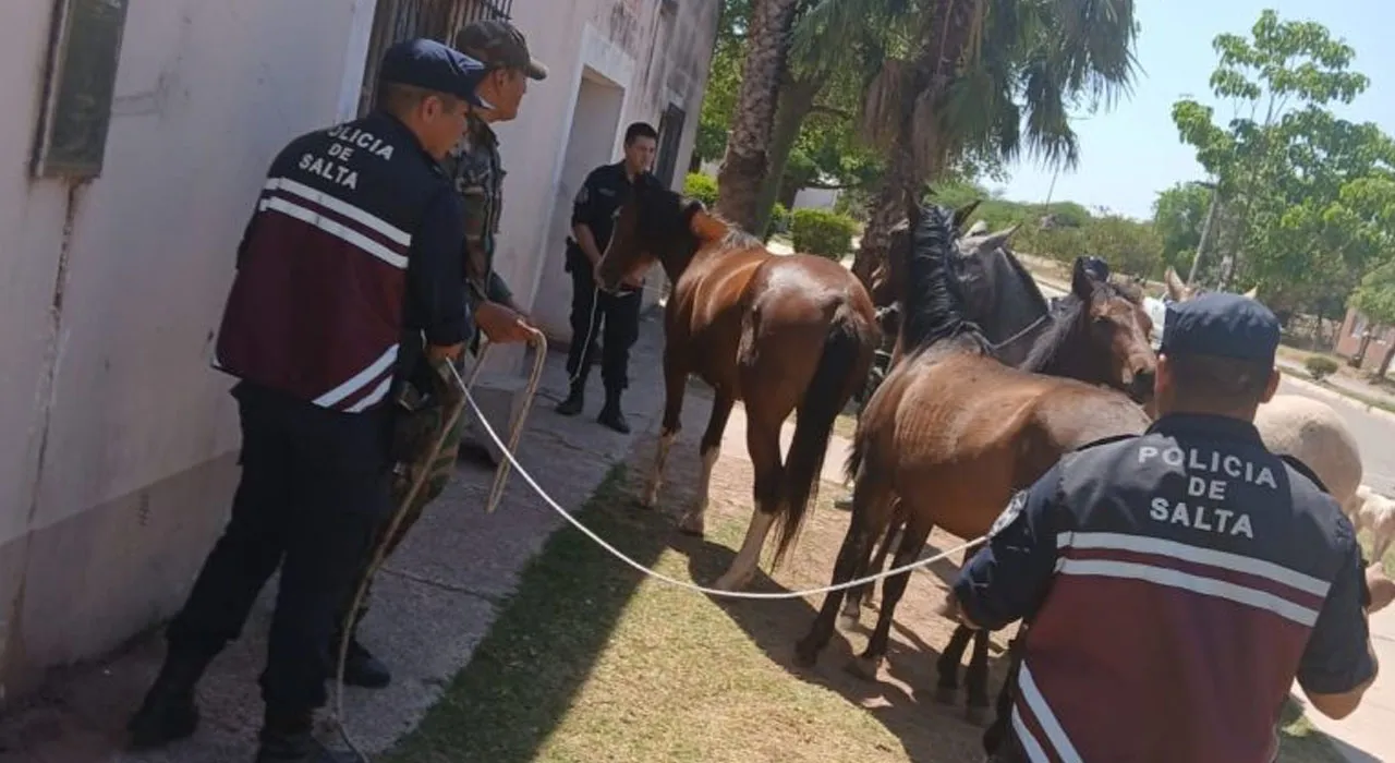 Sin título-1