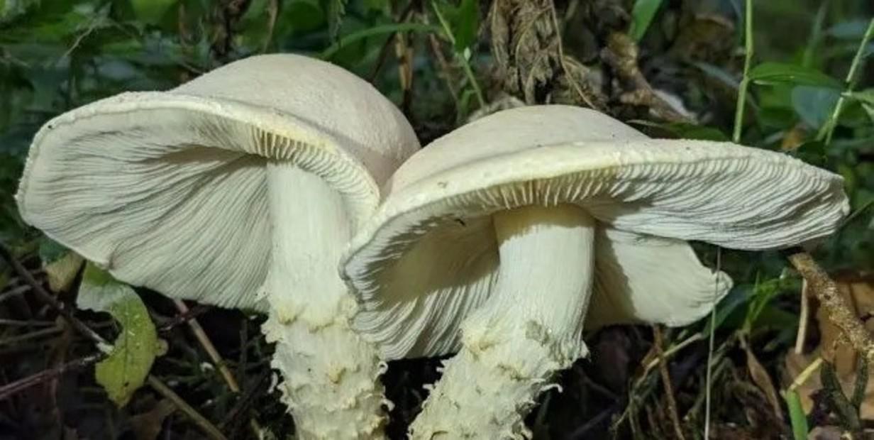 aHqOaetOh_1256x620__2
