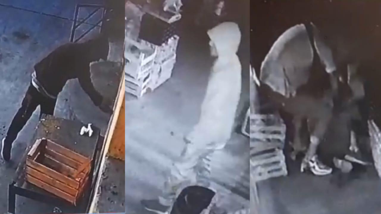 aa4cdc21-fd01-42b9-9c3c-4f9f3e42d0e3