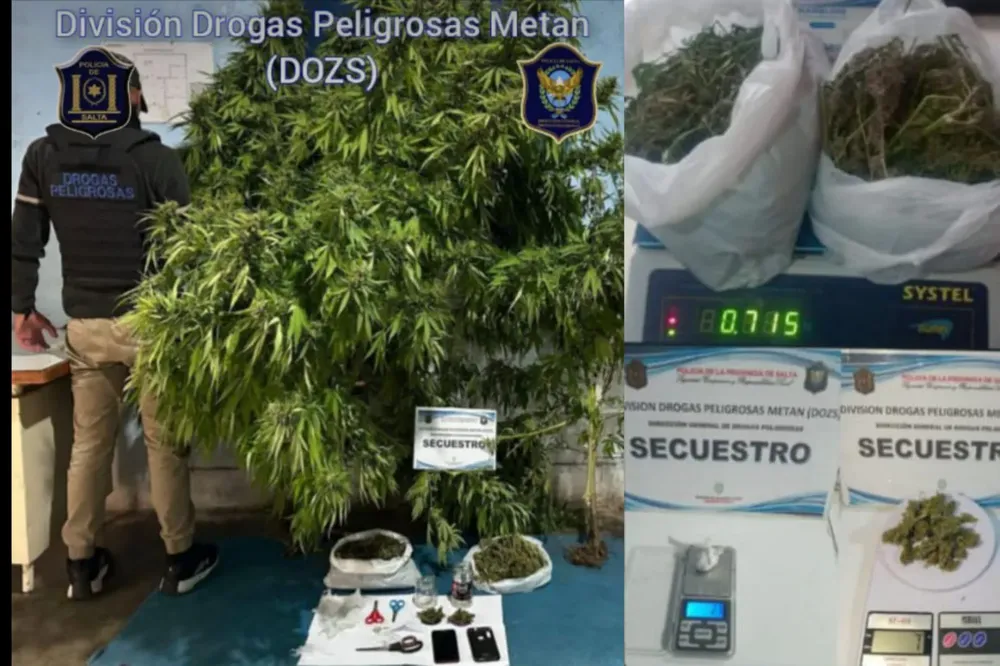 36f9dc86-1b52-423d-b2be-262b048ce52a