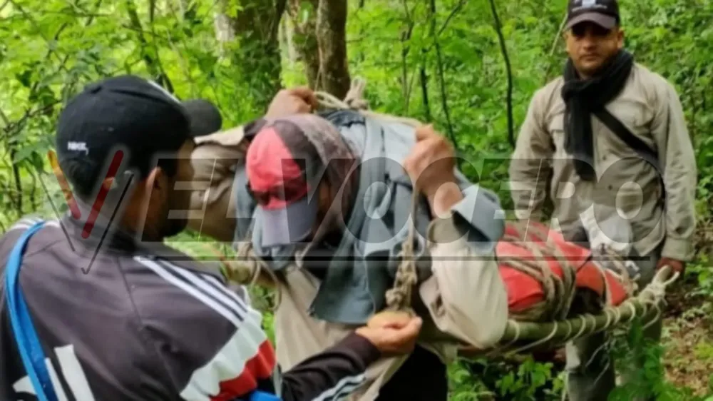 e0356ff0-8b9f-4afe-b08c-7765755ad38f