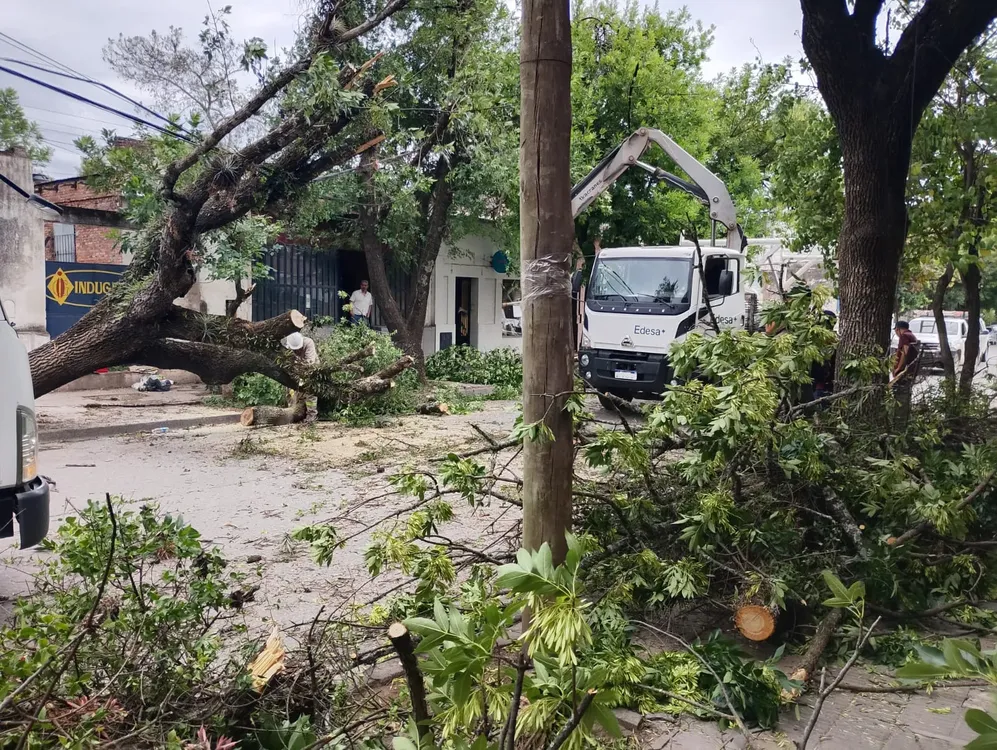 1026be10-d289-45f6-a300-0c169dd967bc