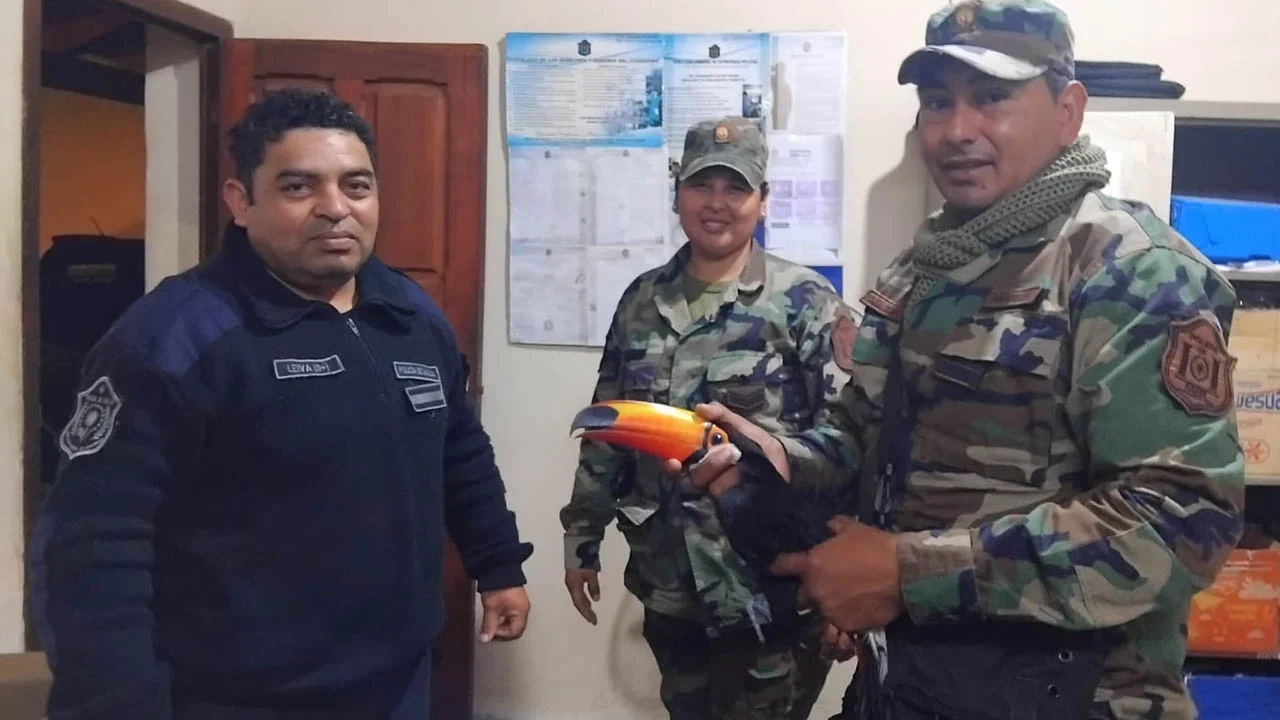 Sin título-1